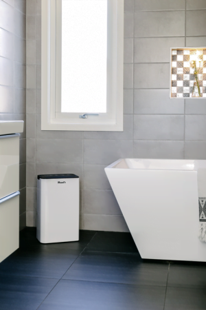 Бытовой осушитель воздуха Wood's MDK11