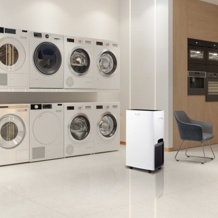 Бытовой осушитель воздуха Ballu BD40U